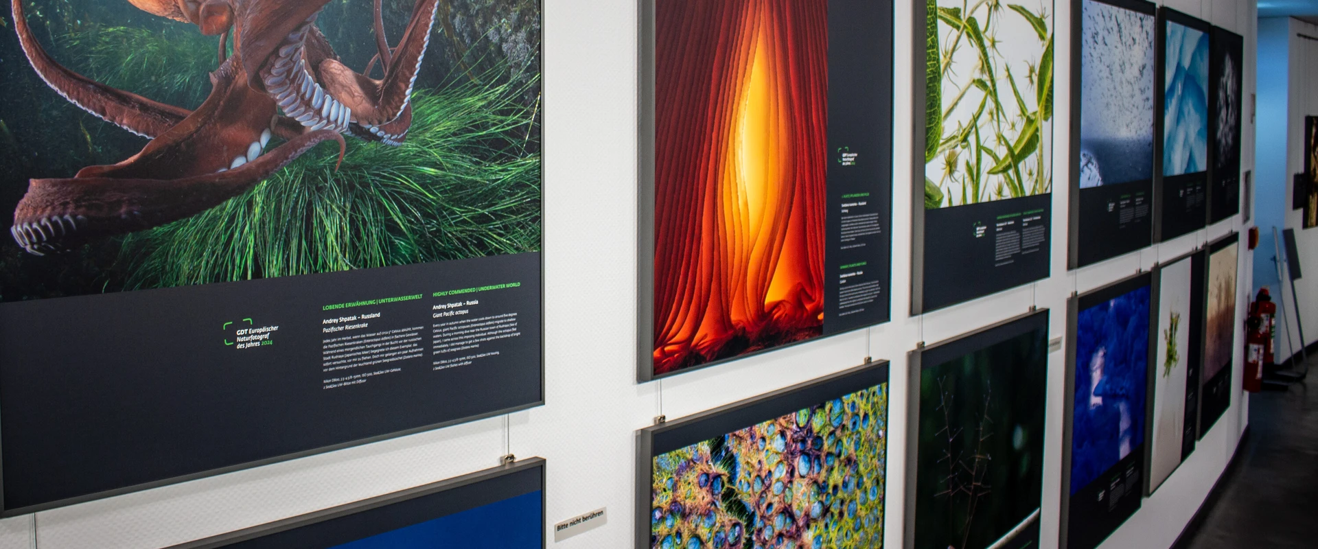Eine Wand mit gro&szlig;fl&auml;chigen Naturfotografien der Sonderausstellung "Europ&auml;ischer Naturfotograf".